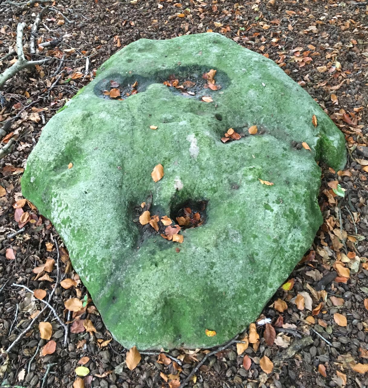Earth%20face%20 %20square