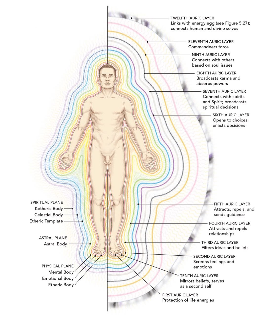 the subtle-body-and-aura-diagram